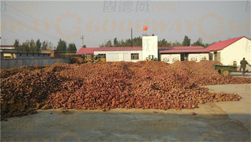 開紅薯淀粉廠，這幾點(diǎn)也很重要！生產(chǎn)資源、設(shè)備動(dòng)力供應(yīng)、土建與施工