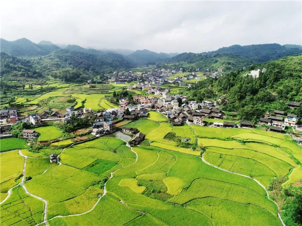 農村改革
