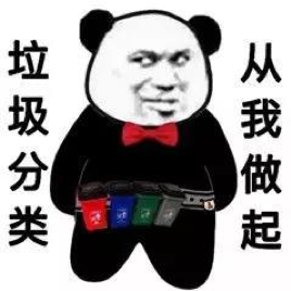 圖片 15