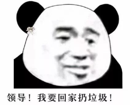 圖片 12