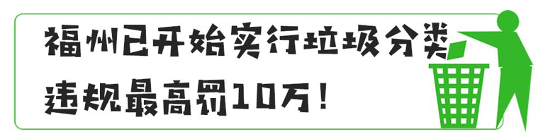 圖片 8