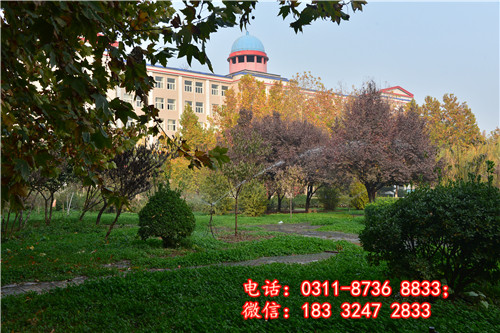 校園一角3.jpg