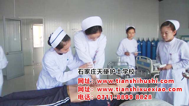 石家莊天使護士學校哪個地區的學生多