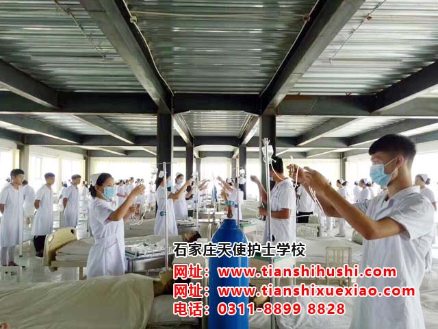 石家莊天使護(hù)士學(xué)校2021年學(xué)費(fèi)多少?