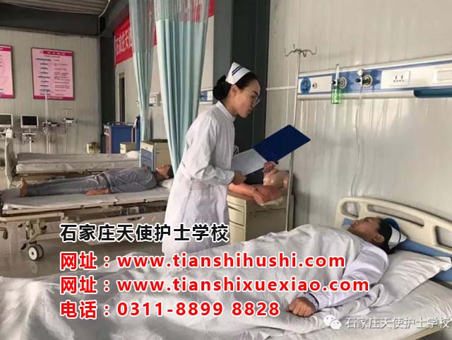石家莊天使護士學校有哪些專業