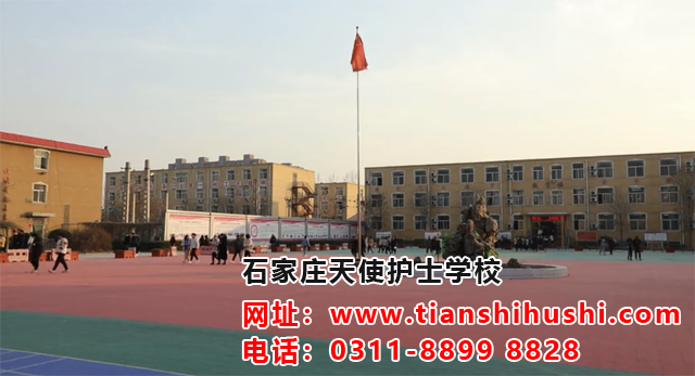 QQ圖片20190118173541副本.png