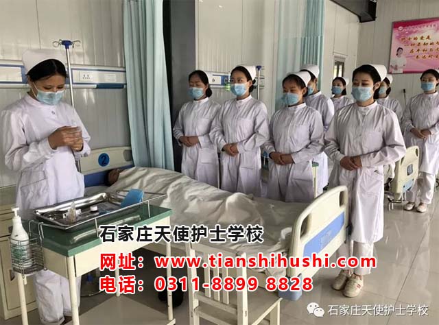 石家莊護士學校招生標準