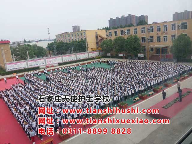 廊坊本地有護士學校嗎？