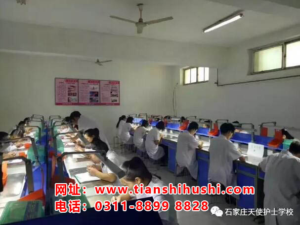 石家莊天使護士學校口腔專業對口升學大專有哪些學校