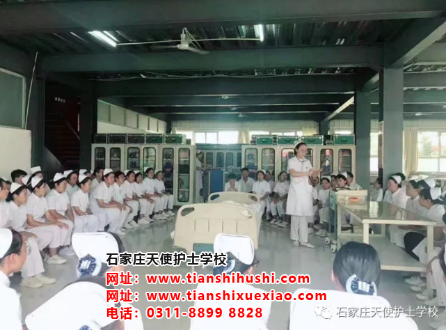 石家莊天使護士學校護理專業禮儀培訓