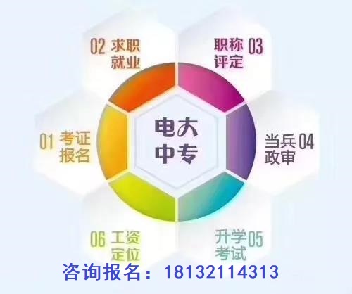 成人電大中專報考條件是什么