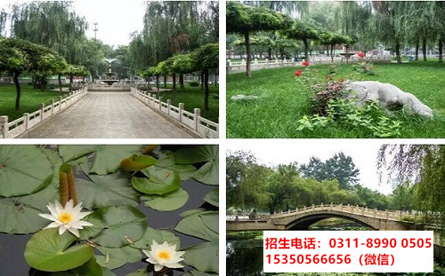 石家莊東華鐵路學(xué)校第三年能實(shí)習(xí)就業(yè)嗎？