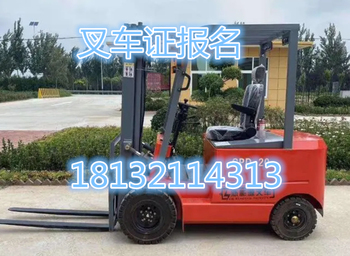 叉車證 (3).png